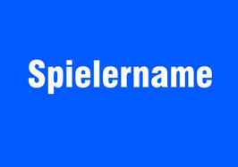 Zusatzdruck Spielername (BITTE IM WARENKORB ANGEBEN AUF WELCHEN ARTIKEL DIESER GEDRUCKT WERDEN SOLL)