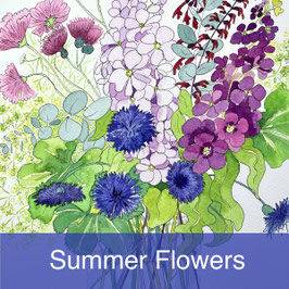 Summer Flowers Watercolour Workshop: Friday 19th June