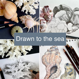 Drawn To The Sea Workshop