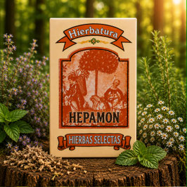 HEPAMON