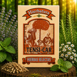 TENSI-CAR