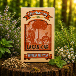 LAXAN-CAR