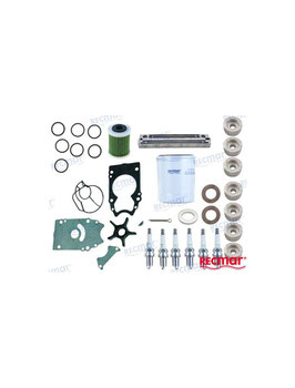 Kit de mantenimiento Suzuki DF250 / DF250S / DF300A (2011+) (REC17400-98861)