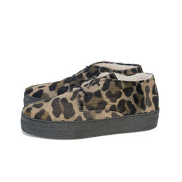 ASTA WARM C cavallino leo