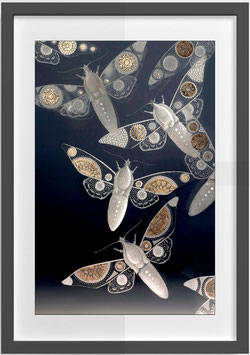 13. MOTHS