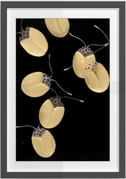 4. BEETLES