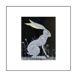 10. MEADOW HARE