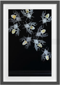 1. A CHARM OF BEES