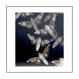 13. MOTHS