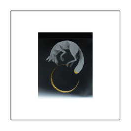 17. FOX AND MOON