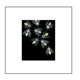 1. A CHARM OF BEES