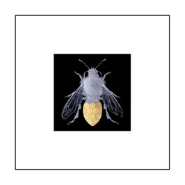 3. BEE