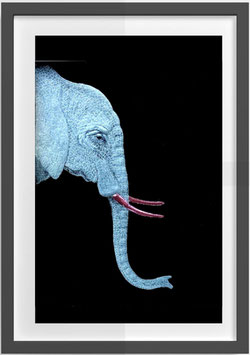 14. ELEPHANT