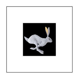 11 RUNNING HARE