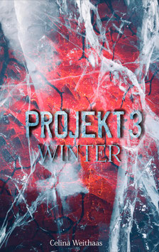 Projekt 3 - Winter (Jahreszeitentrilogie)