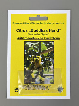 Citrus "Buddhas Hand", Citrus medica digitata, Geschenkidee, Seltene Samen, Besonderheit, Rarität
