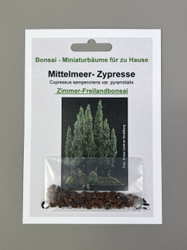 Mittelmeer Zypresse (Cupressus sempervirens var. pyramidalis), Zimmerbonsai, Freilandbonsai, Geschenkidee, Bonsai-Samen