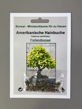 bambus küchenregal Bambus Küchenregal Arbeitsplatte