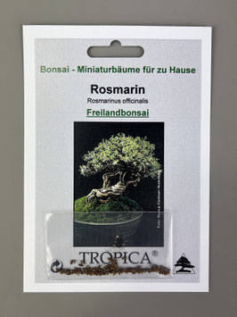 Samen+Anzuchtset: Rosmarin, Rosmarinus officinalis, Freilandbonsai, Geschenkidee, Bonsai-Samen