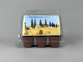Mediterrane Träume, Geschenkidee, Mini-Gewächshaus mit Samen