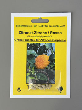 Zitronat-Zitrone Rosso, Citrus medica`pigmentata` L., Geschenkidee, Seltene Samen, Besonderheit, Rarität