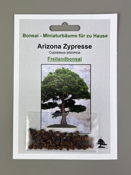 bonsai microcarpa Ficus Microcarpa Ginseng (bonsai) ↑ 50 cm – urbanjngl.com