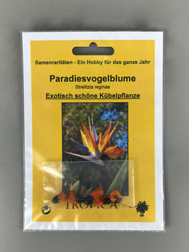 Paradiesvogelblume, Strelitzia reginae, Geschenkidee, Seltene Samen, Besonderheit, Rarität