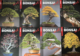 Gebrauchte Bonsai-Art Zeitschriften – Inspiration und Wissen für jeden Bonsai-Liebhaber