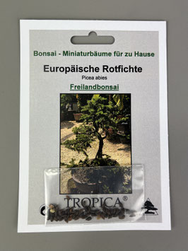 Bonsai Samen Zimmer- und Freilandbonsai, Aufzuchtset Werbegeschenk - www. bonsai-hassler.de