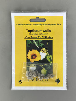 Topfbaumwolle, Gossypium herbaceum, Geschenkidee, Seltene Samen, Besonderheit, Rarität
