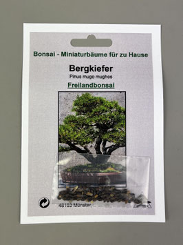 Bonsai Samen Zimmer- und Freilandbonsai, Aufzuchtset Werbegeschenk - www. bonsai-hassler.de