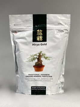 HIRYO GOLD Wachstum und Prebonsai