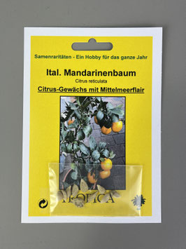 Ital. Mandarinenbaum, Citrus reticulata, Geschenkidee, Seltene Samen, Besonderheit, Rarität