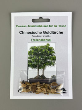 Bonsai Samen Zimmer- und Freilandbonsai, Aufzuchtset Werbegeschenk - www. bonsai-hassler.de