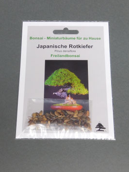 Samen+Anzuchtset: Japanische Rotkiefer, Pinus densiflora, Freilandbonsai, Geschenkidee, Bonsai-Samen