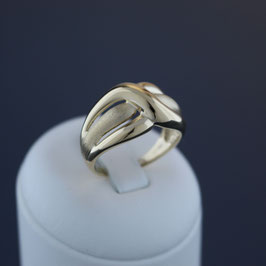 Ring aus 585-Gelbgold