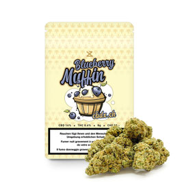 Blueberry Muffin