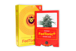 FedTonic® CBD Hanfsamen