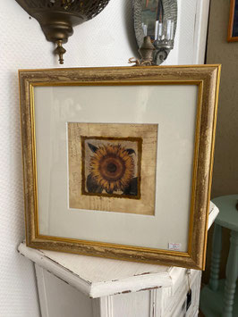 Bild "Sonnenblume"