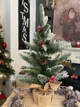 Weihnachtsbaum