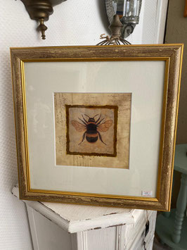 Bild "Honigbiene"