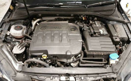 Motor Audi/Seat/Skoda/VW 1.6 TDI DGTE + Garantie, Komplett inkl. Lieferung