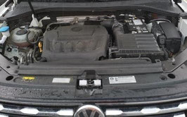 Motor VW Tiguan/Skoda Kodiaq 2.0 TSI CZPA +Garantie, Komplett inkl. Lieferung