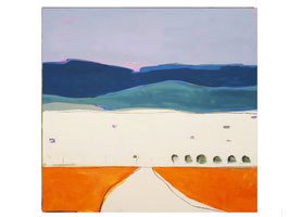 160 x 100 cm - Schlösser in Slowenien
