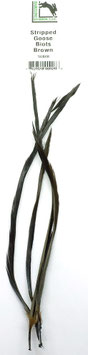 Hareline GOOSE BIOTS Brown SGB40