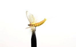 J:son MAYFLY SPENT 3 Sulphur