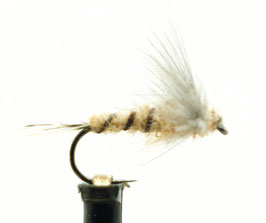 Yangoo CDC SEDGE #14