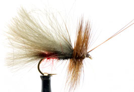 Yangoo CDC SEDGE Black/Red #10