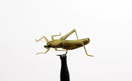 J:son HOPPER 4 Olive Brown