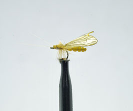 J:son CADDIS ADULT 3 Saffron Gold